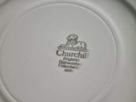 Engels blauw Churchill Zwiebelmuster plat Dinerbord 24 cm