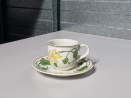 Villeroy en Boch Geranium koffie Espresso kop en schotel