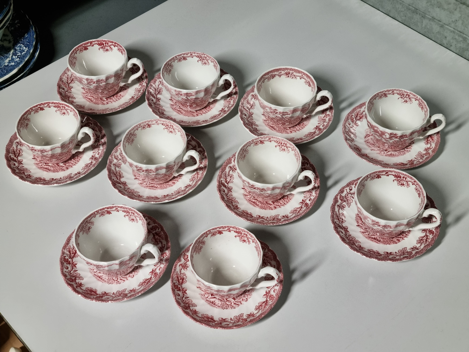 Engels rood Jachtservies Myott's Country Life set 10x Kop en schotel (B-keus!)