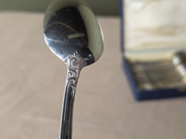 Set 12x Dessert Lepel Tilquin