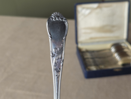 Set 12x Dessert Lepel Tilquin