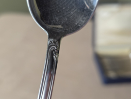 Set 12x Dessert Lepel Tilquin