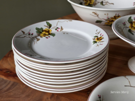Petrus Regout Herfst compleet eetservies 11 personen