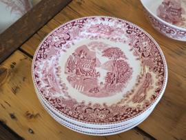 Regout Castillo Old England rood compleet Eetservies 8-pers.