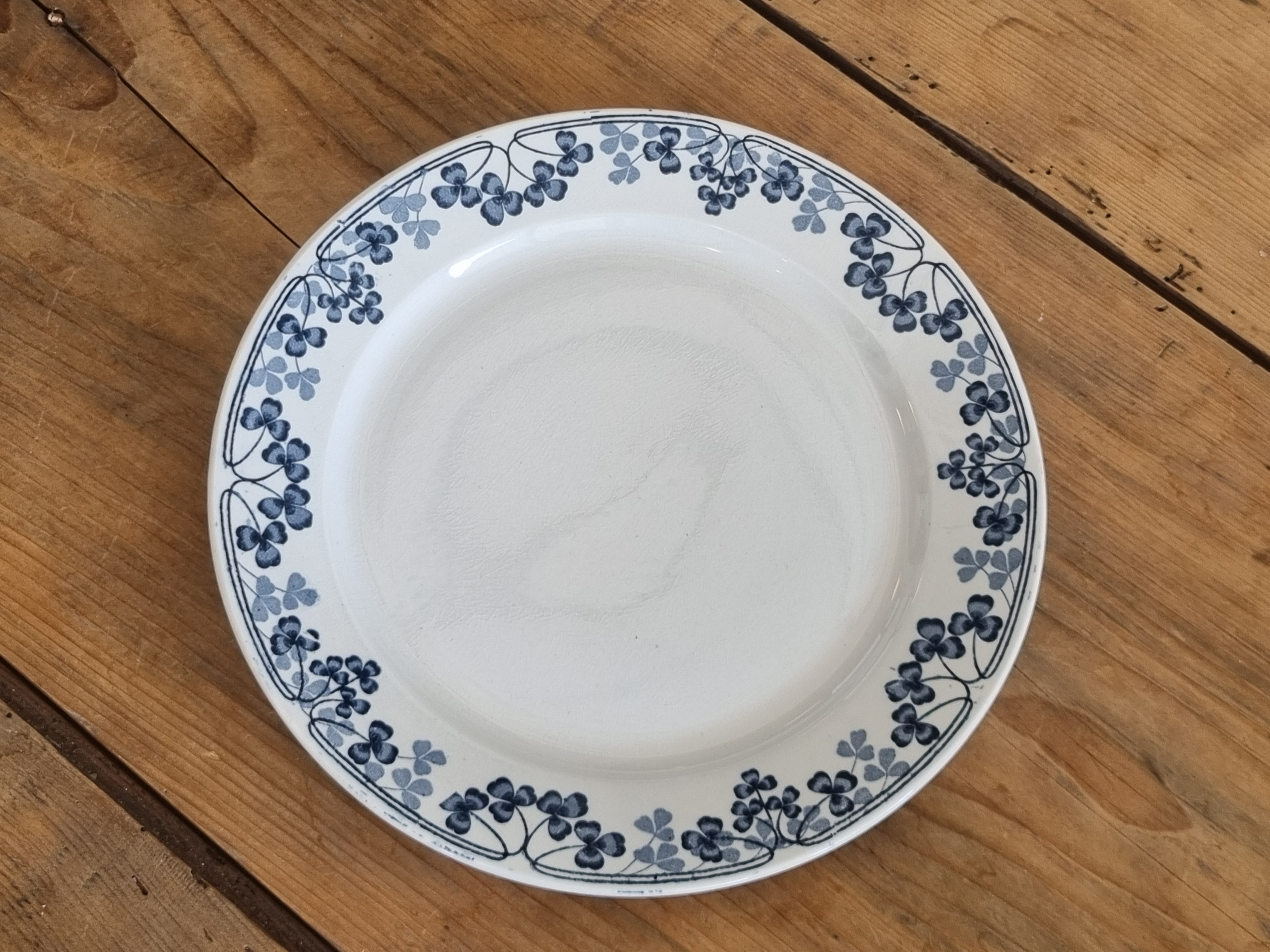 Sarreguemines Vichy plat dinerbord 24 cm