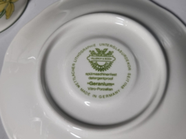 Villeroy en Boch Geranium koffie Espresso kop en schotel