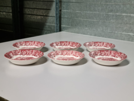 Engels rood Palissy River Scenes set 6x rond schaaltje 13 cm