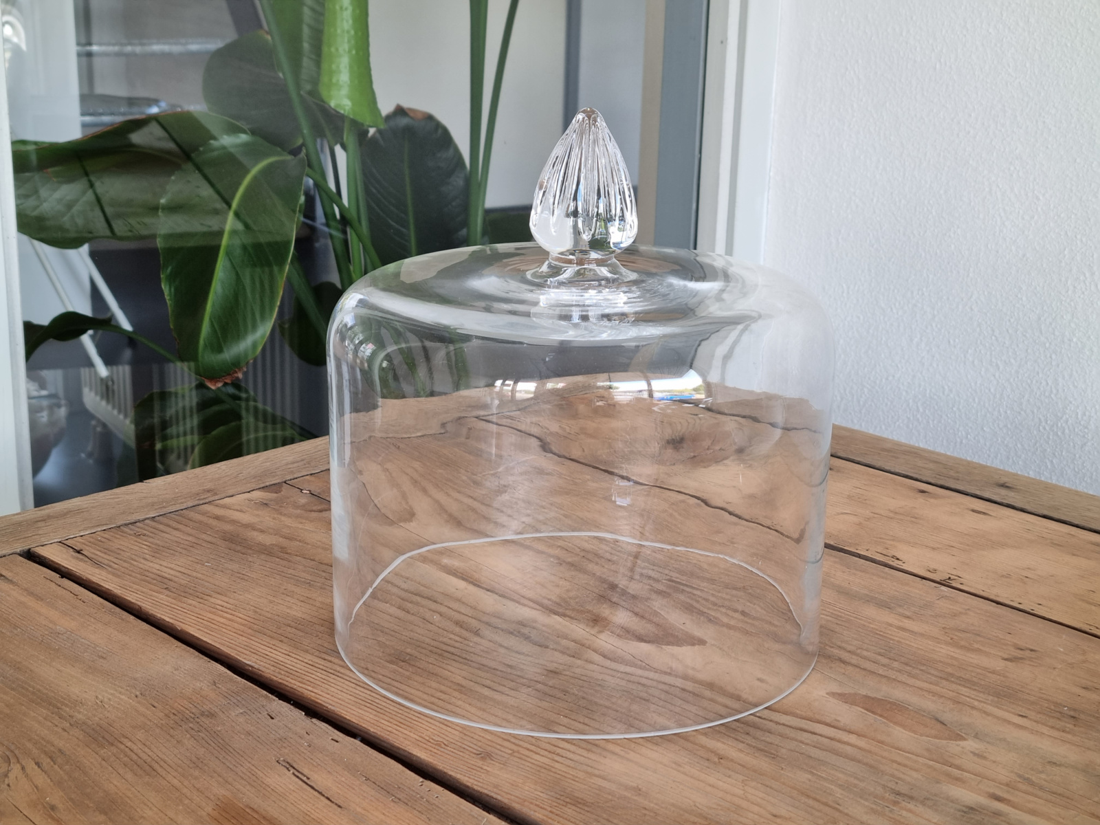 Petrus Regout decor Riva Glazen Stolp op groot Bord 34 cm