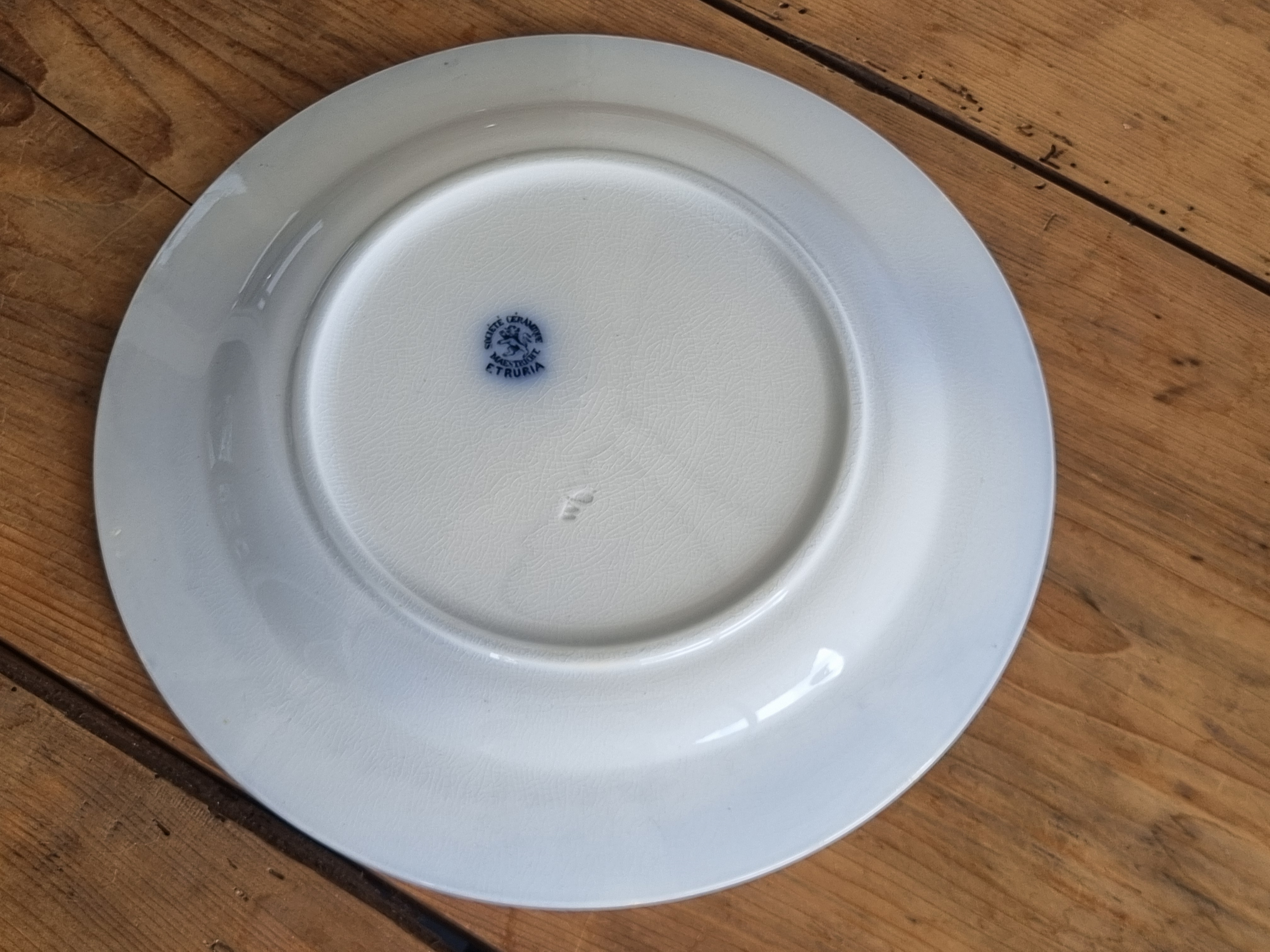 Societe Ceramique Etruria vloeiblauw groot rond bord 30 cm