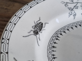 Societe Ceramique decor Papillon Serveerschaal ovaal 38,5 cm