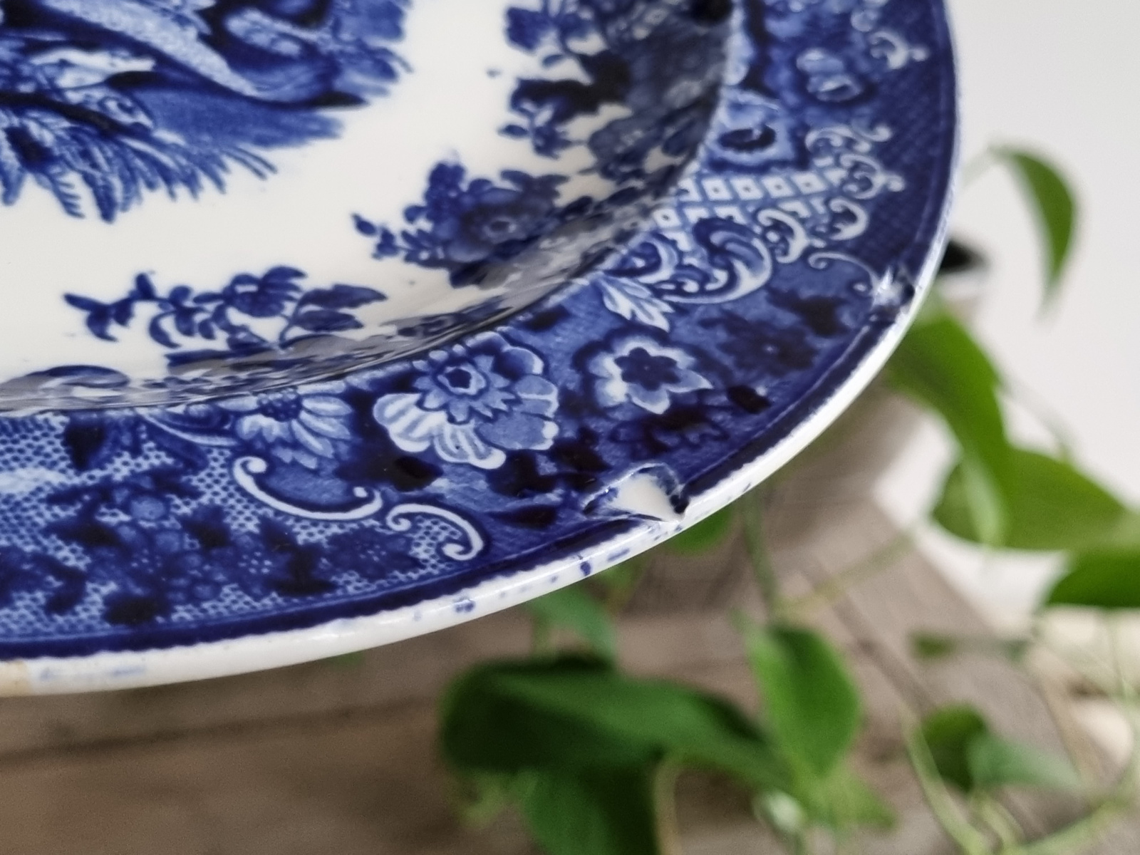 Petrus Regout (2 Vissen) blauw bord 25,5 cm