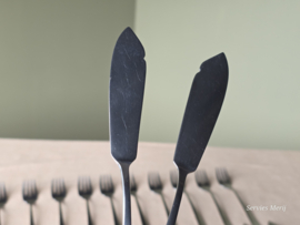 Visbestek set Sola 12 personen 24 delen