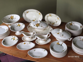 Petrus Regout Herfst compleet eetservies 11 personen