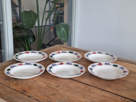Boerenbont Boch set 6x Diep Pasta Curry Bord 22,5 cm (Nieuwste Boch)