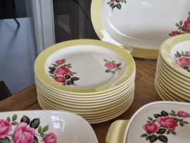 Petrus Regout Amore pastel Geel met Bloem compleet Eetservies min. 11-pers.