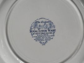 Engels blauw Mix & Match Set 6x dinerbord 24 - 25,5 cm