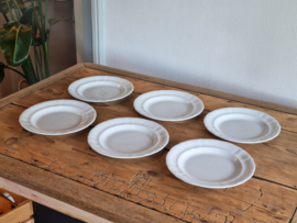 Regout Wellington wit set 6x Plat Dinerbord 25 cm (golvende rand)