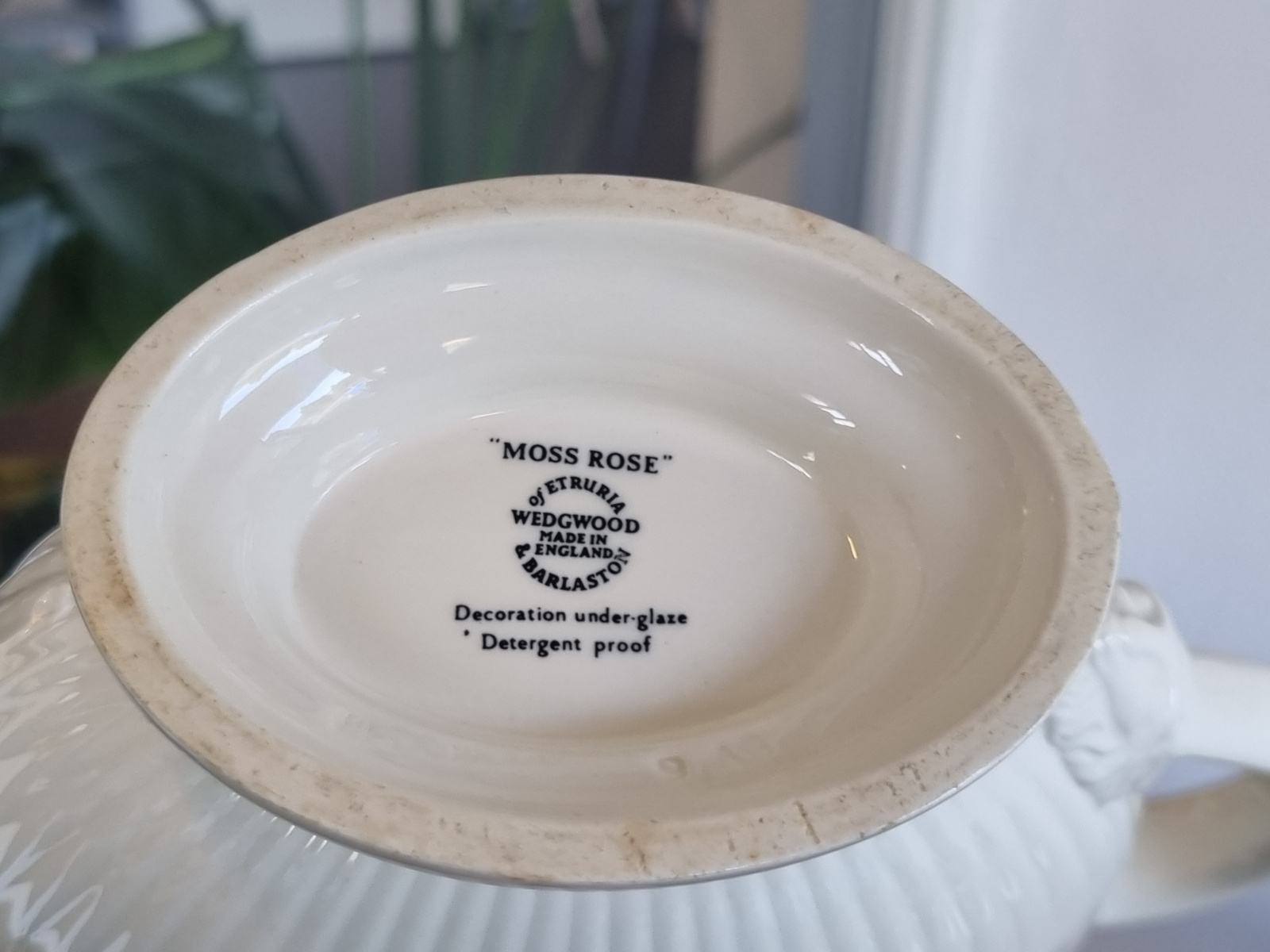Wedgwood Moss Rose sauskom
