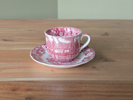 Engels rood Palissy Thames River Scenes Kop en schotel