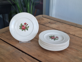 Wedgwood Moss Rose Gebakstel 8-pers.