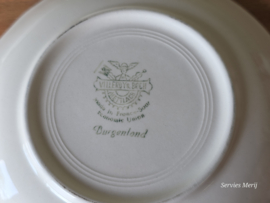 Villeroy en Boch Burgenland rood set  8x koffie kop en schotel (oud groen stempel)