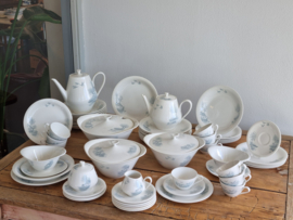 Societe Ceramique Waterland Eetservies Koffie Theeservies 10 persoons