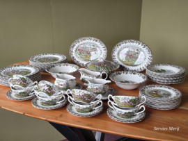 Engels bruin ingekleurd Jachtservies Myott's Country Life Eetservies 8 personen
