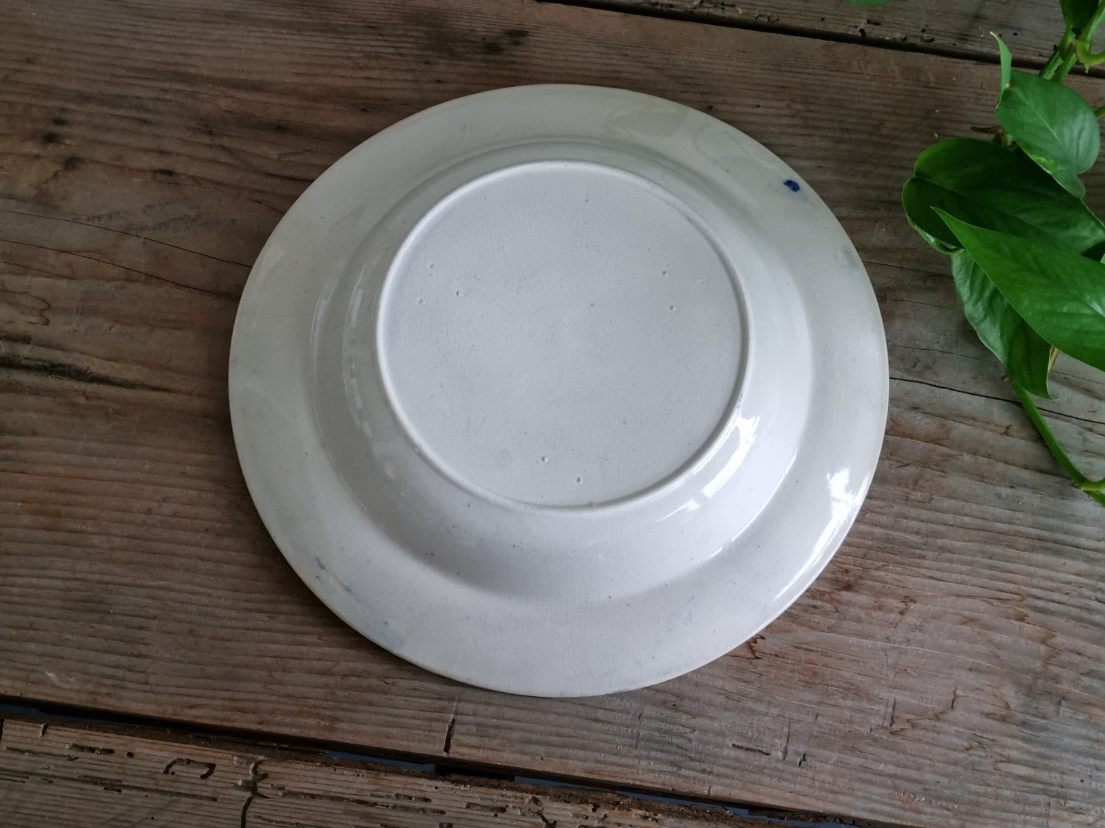 Petrus Regout Diep Bord (2 Bootjes) blauw bord 25 cm