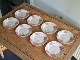 Frans Luneville K&G decor Plantane rood set 8x Dinerbord 23 cm