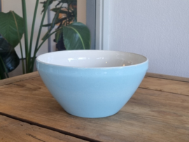 Vintage Regout pastel blauw Schaal V6