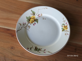 Petrus Regout Herfst plat dinerbord 23,5 cm