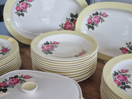 Petrus Regout Amore pastel Geel met Bloem compleet Eetservies min. 11-pers.
