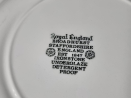 Engels rood Broadhurst Tower of Londen Plat Dinerbord 24 cm