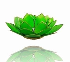 Lotus Sfeerlicht - 4e Chakra - Groen met Zilveren Rand