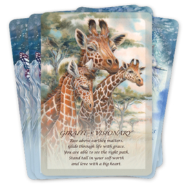 Spirit of the Animals Oracle - Jody Bergsma