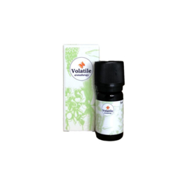 Lavendel CO2-select bio (Lavandula angustifolia) 5 ml