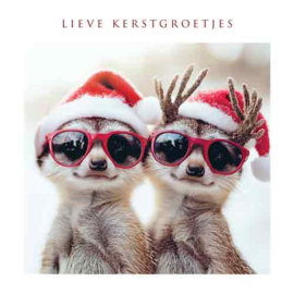 Kerst Tracks