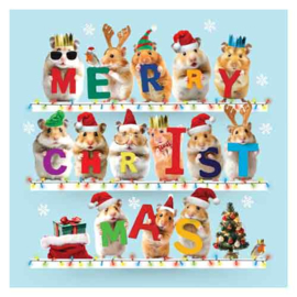 Kerst Tracks