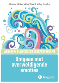 Omgaan met overweldigende emoties / werkboek