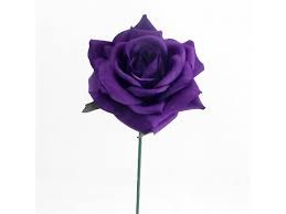 Purple rose. 5 ml