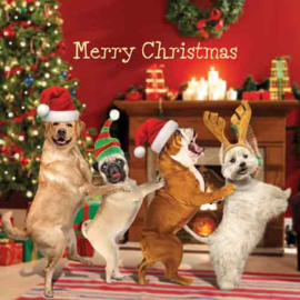 Kerst Tracks