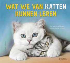 Wat we van katten kunnen leren -  Cynthia-L. Copeland