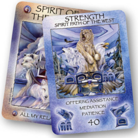 Spirit of the Wheel Meditation Deck - Jody Bergsma