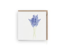Lavendel wenskaart - Grafiquelien