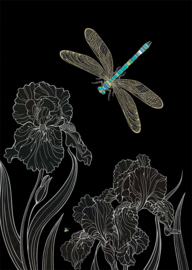 M153 Dragonfly Irises - BugArt
