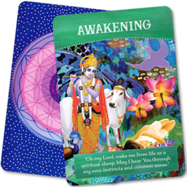 Divine Abundance Oracle Cards - Tosha Silver