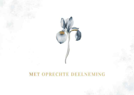 SOL018 - Oprechte deelneming- Solace