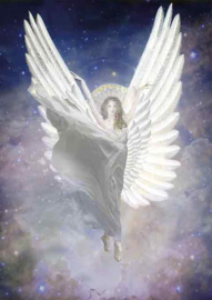 VID 105 / Angel