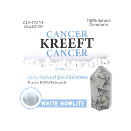 334005 - Magnesiet / Howliet Armband - Sterrenbeeld Kreeft