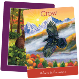 Children's Spirit Animal Cards - Steven Farmer